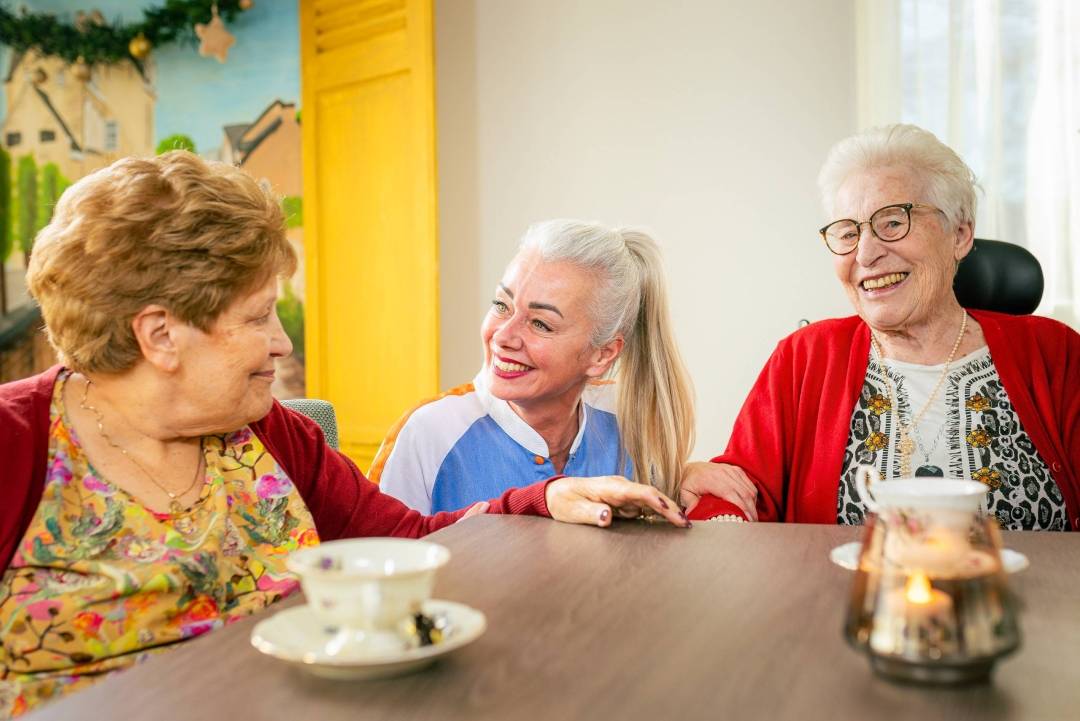 Afbeelding van Sevagram