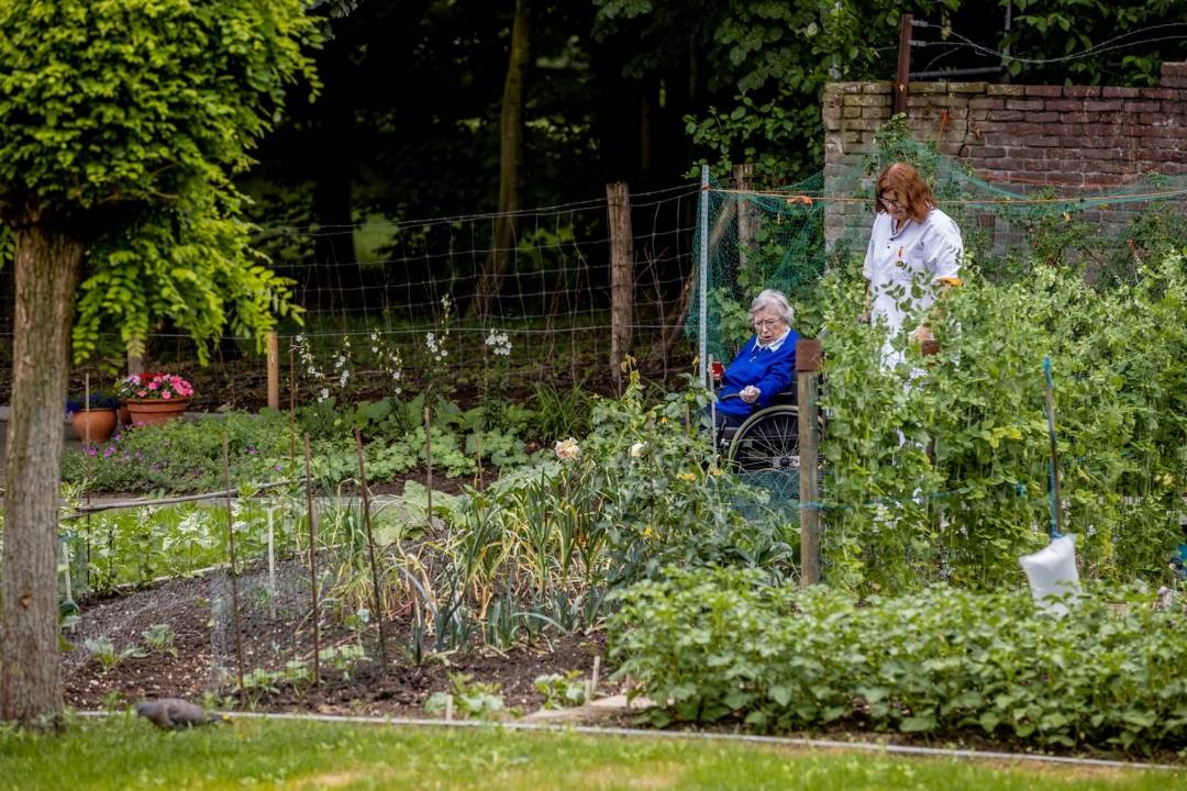 Afbeelding van Sevagram