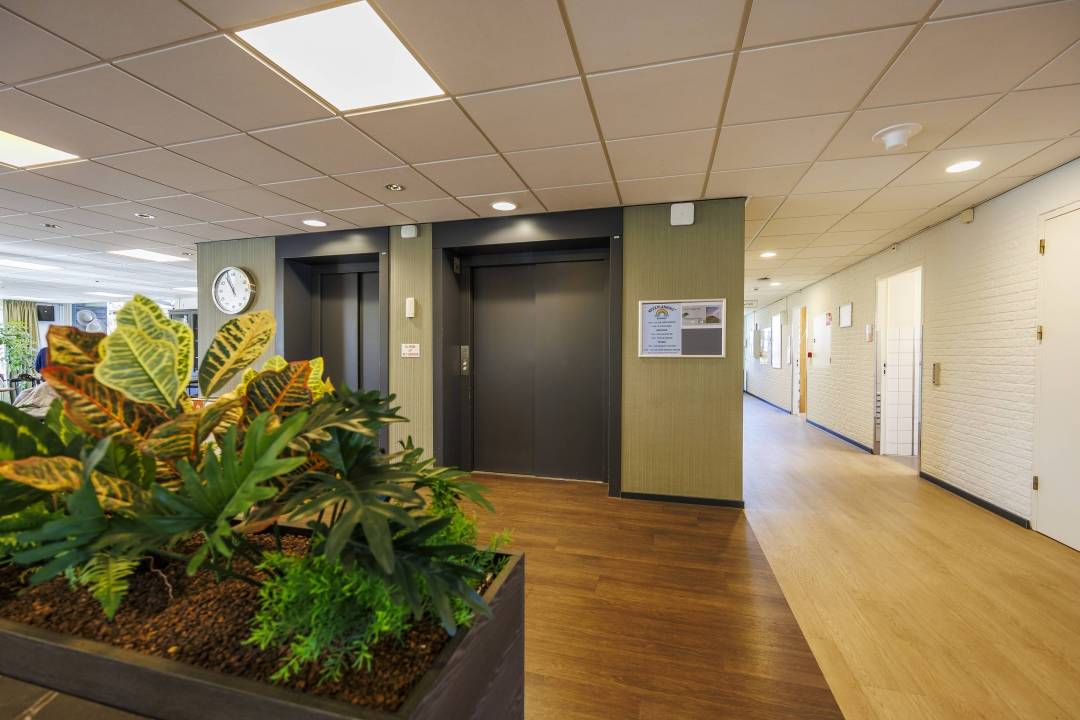 Afbeelding van Sevagram