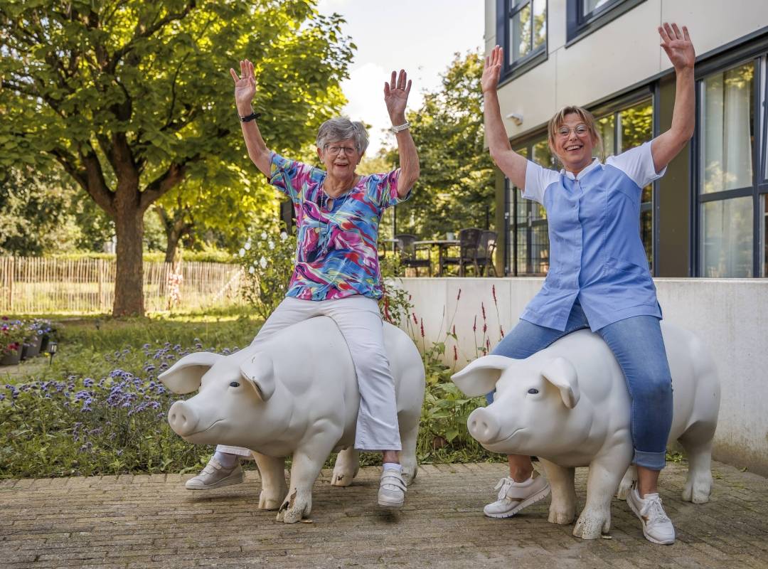 Afbeelding van Sevagram